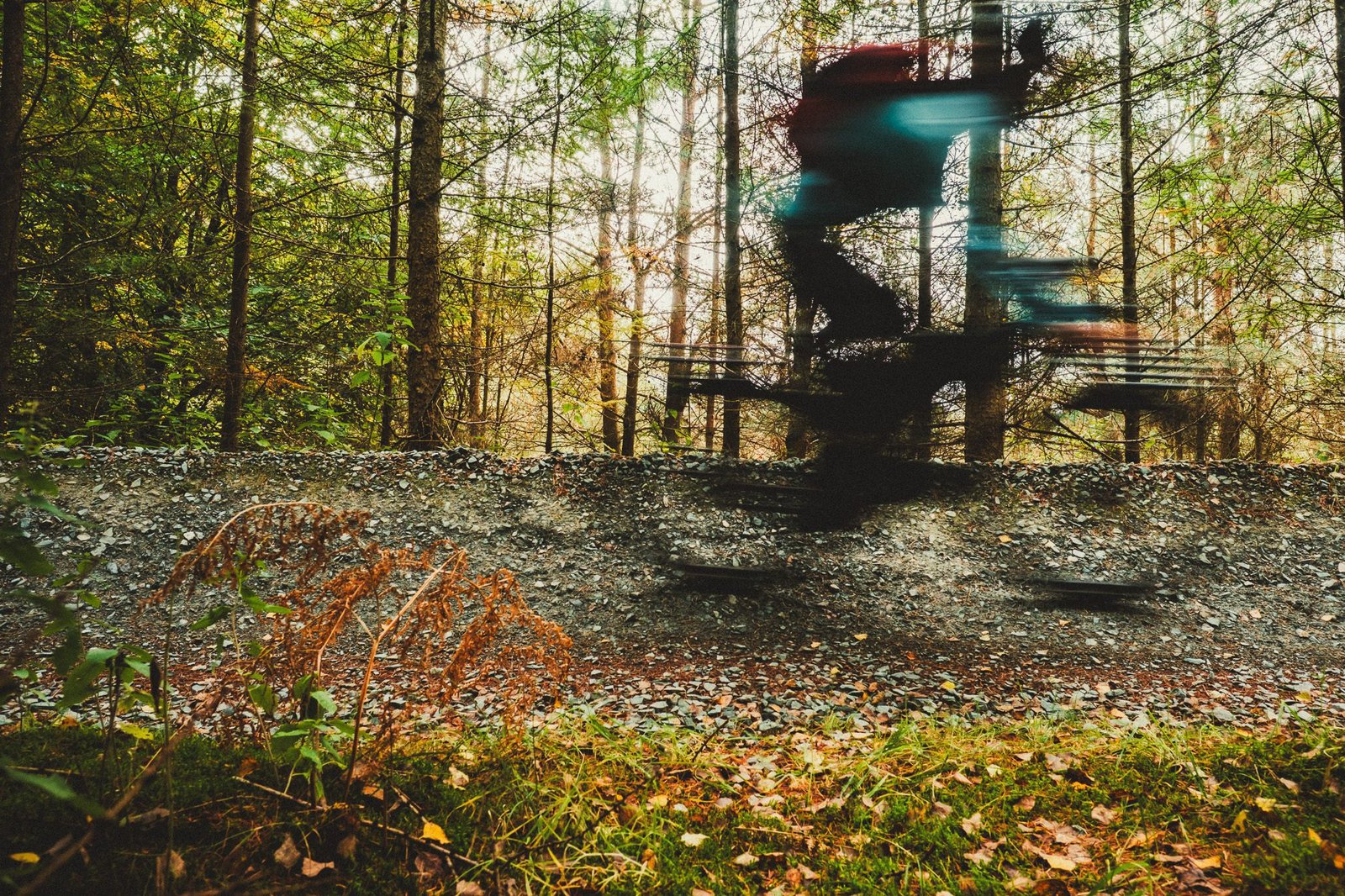 Blurred photo of man mountain biking in woodland