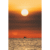 Black Sea Sun