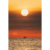 Black Sea Sun
