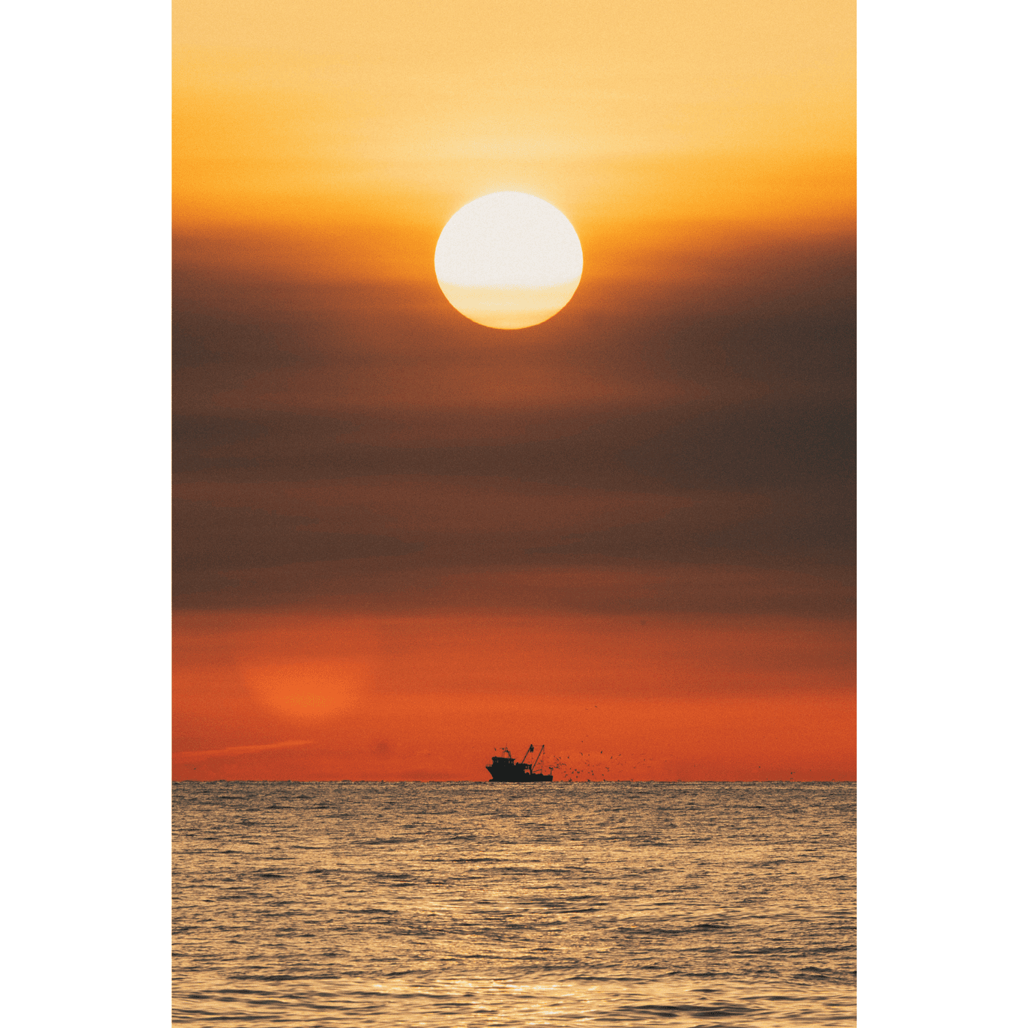 Black Sea Sun