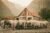The Farm in the Mountains
