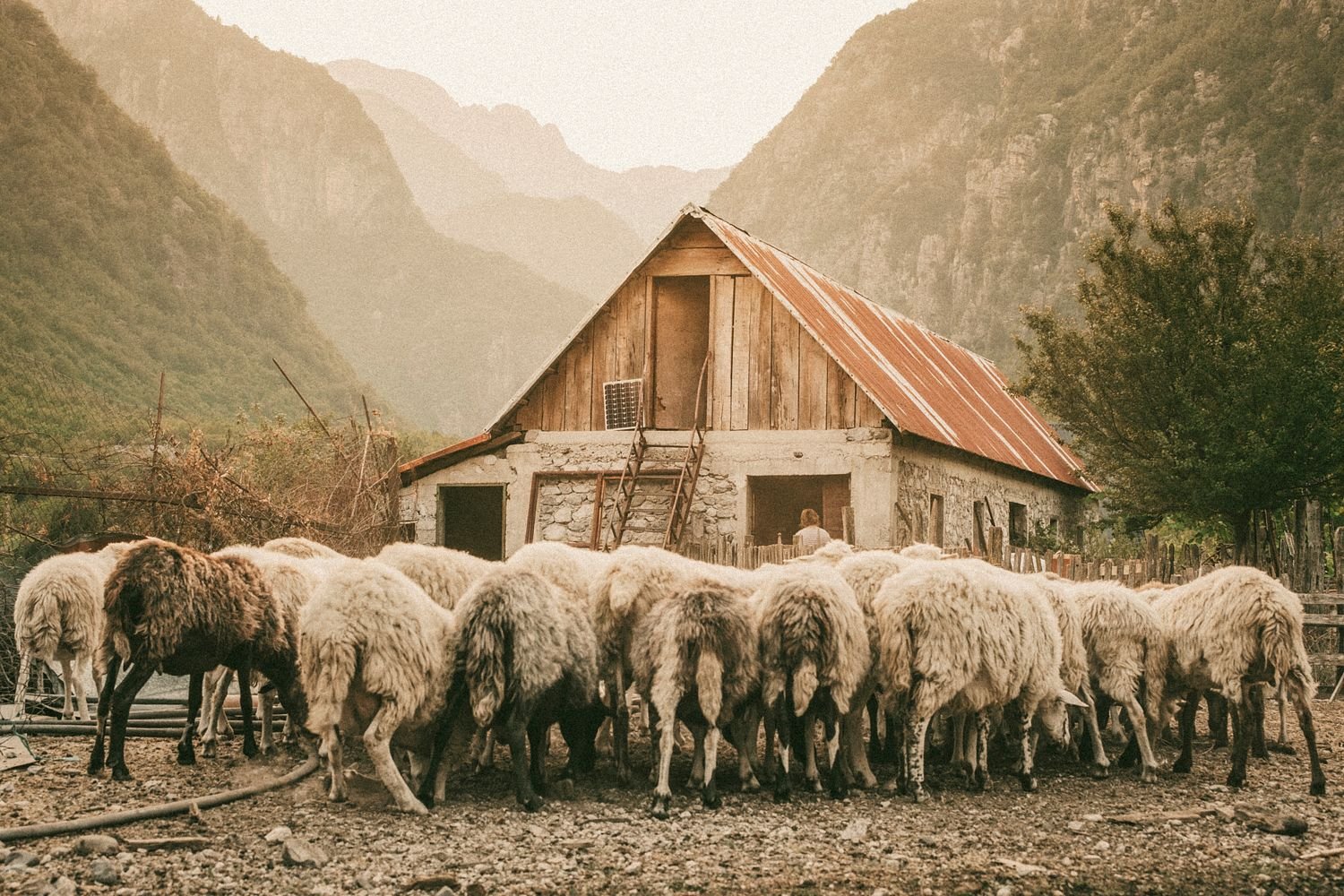 The Farm in the Mountains